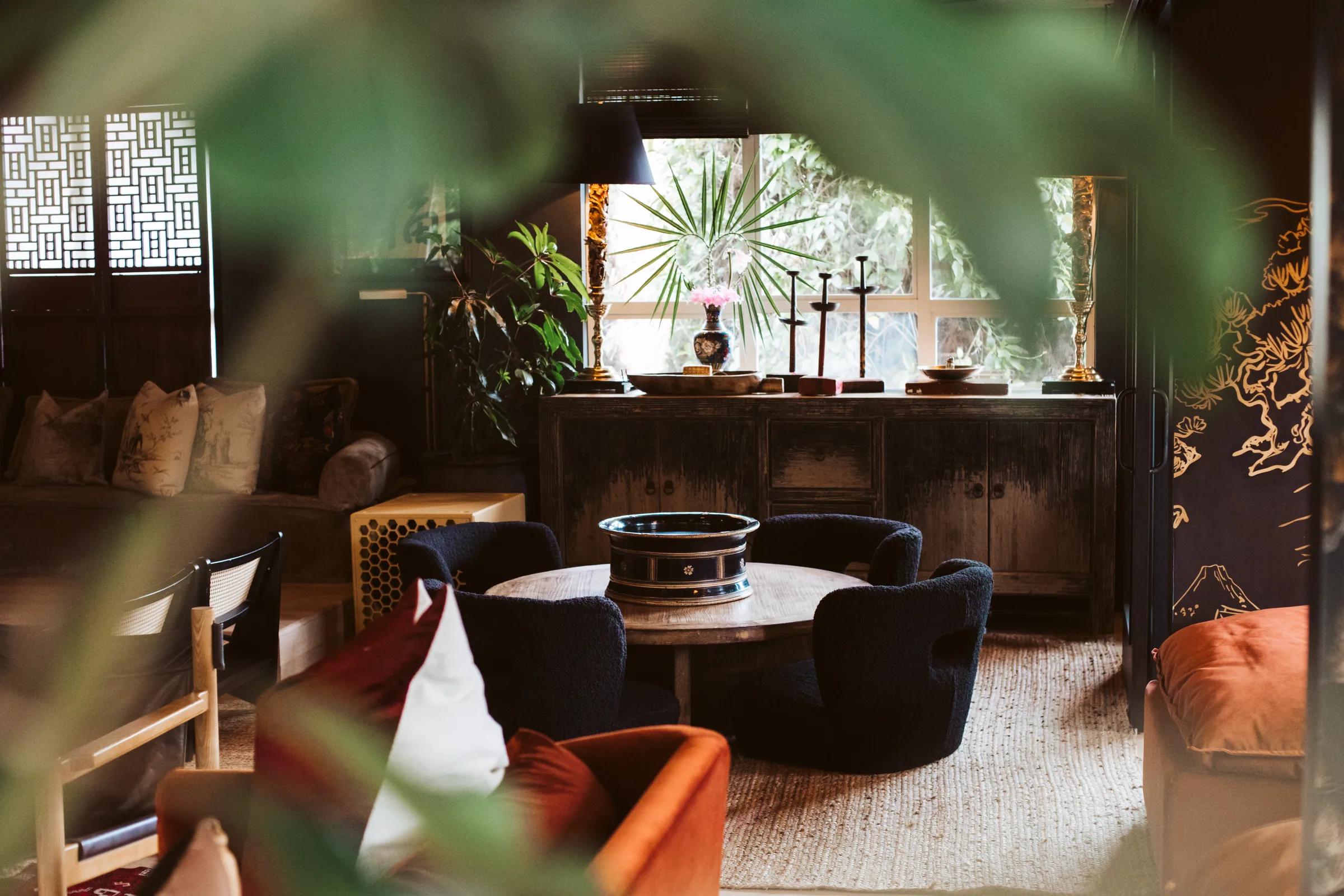Lounge corner seen through foliage with navy boucle chairs, round table, distressed sideboard and window light